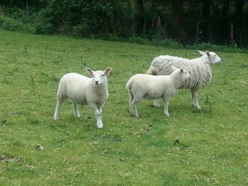 Hi from South&nbsp;Wales