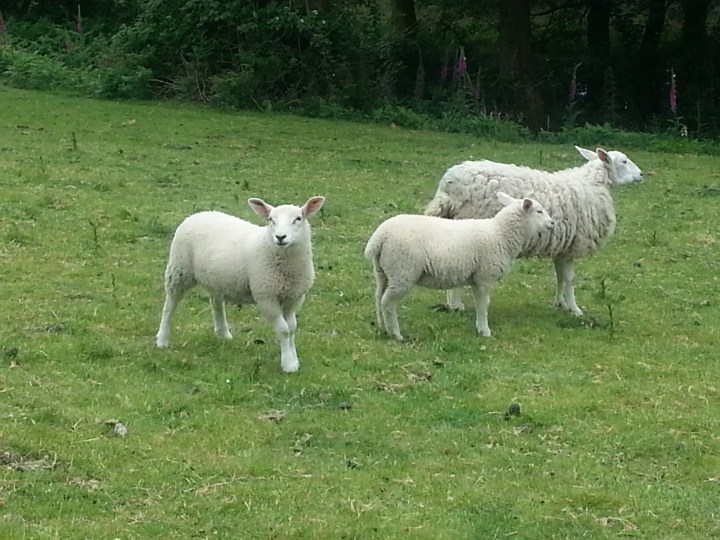 Hi from South&nbsp;Wales