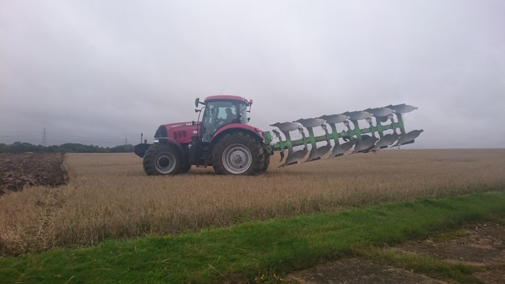 Swallows, migration and ploughing serendipities, all on a Saturday&nbsp;morning