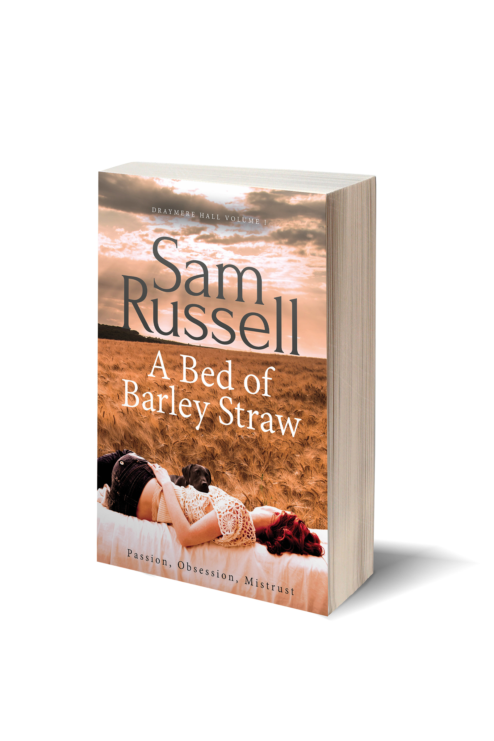 Blank white book w/path