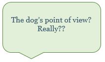 Dogs point of view