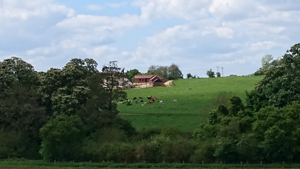 May blossom, cow parsley and a flowering horse-chestnut. Rustic romance in rural&nbsp;Essex