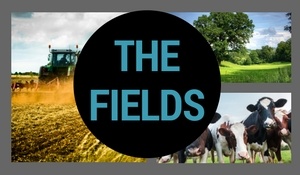 1609201727007556-the_fields_front_page