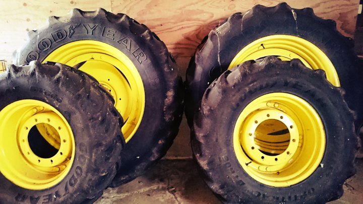 April fools on the&nbsp;farm