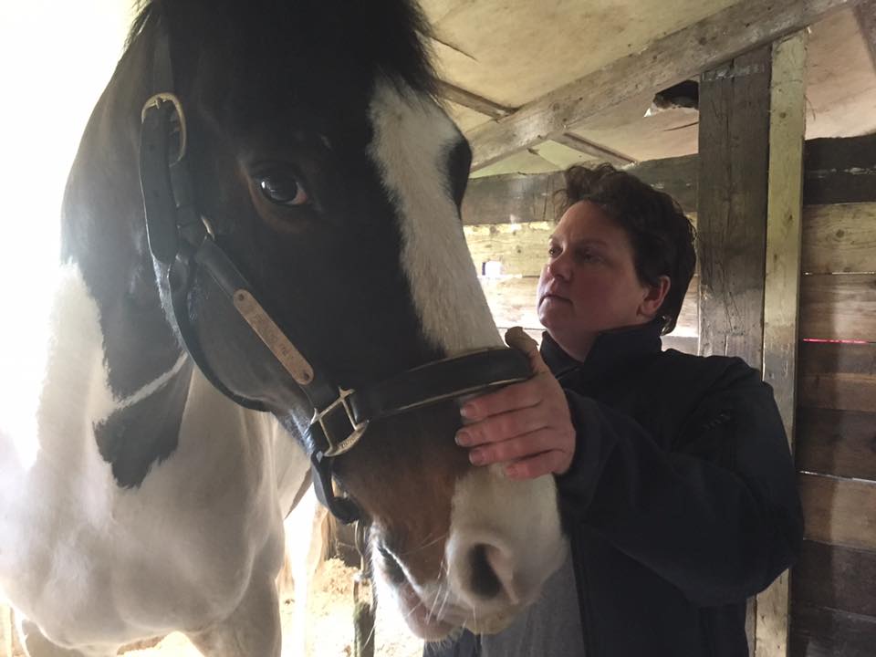 Rustic Guest Carol Grant – For the Love of&nbsp;Horses