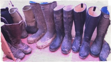 Wellies