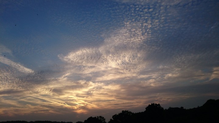 My June in&nbsp;Pictures