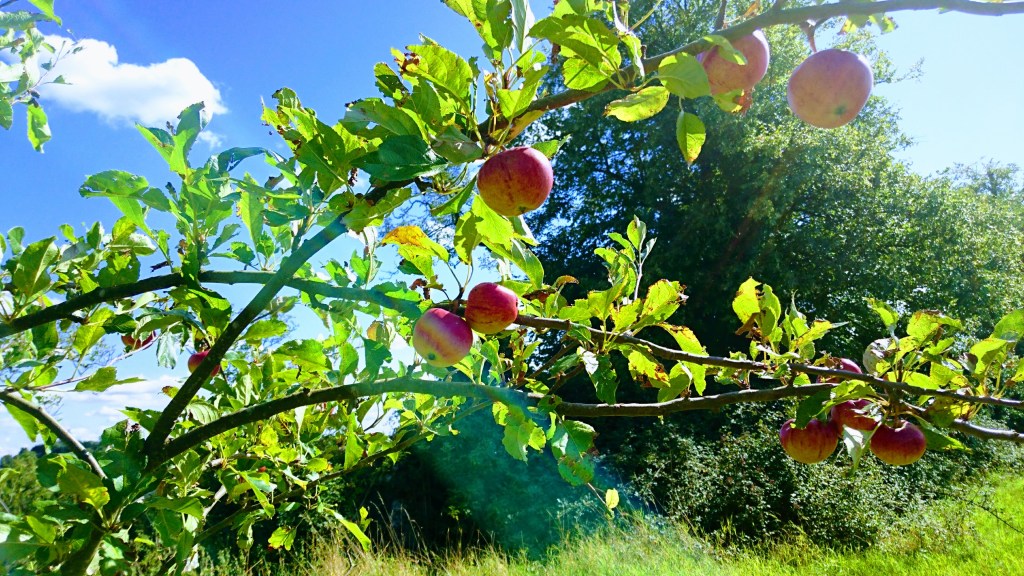 Writer’s total lack of&nbsp;inspiration