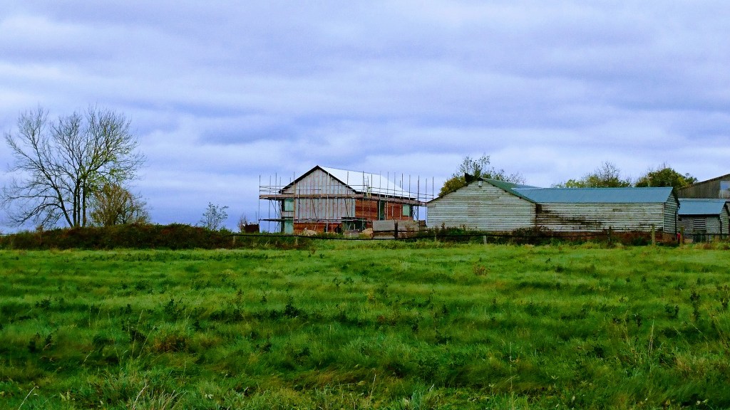 Barny Update – Then and&nbsp;Now